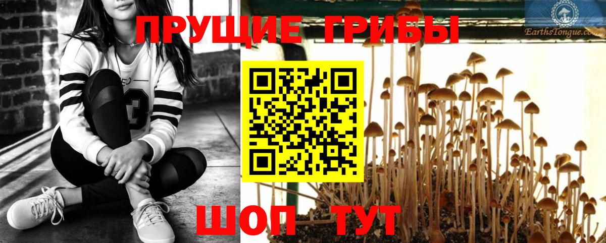 где можно купить   Вход с VPN  Южноуральск  Псилоцибиновые грибы Magic Shrooms 